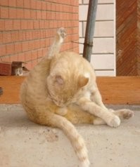 40 фотографий, от которых становится не по себе