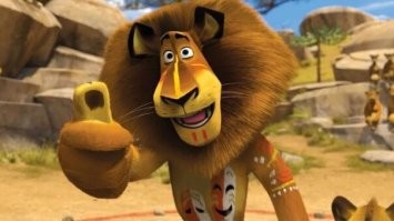 Зоозащитники спасли льва, который провёл 6 лет в клетке в полном одиночестве