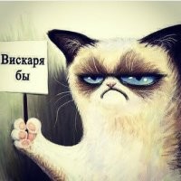 Всё вразнобой&nbsp;