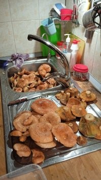 Небольшая часть наловленного.