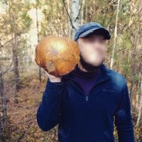 Подберезовик с голову)), килограмма 2-3 весил, чистый.