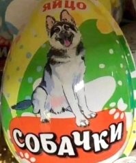 На это можно смотреть вечно: глупые вывески и постыдные ошибки