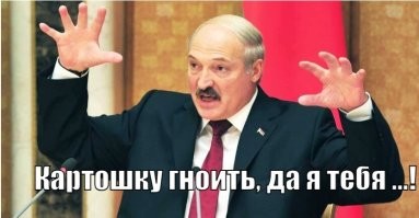 В Приморье двое мужчин насмерть отравились испарениями гниющей картошки