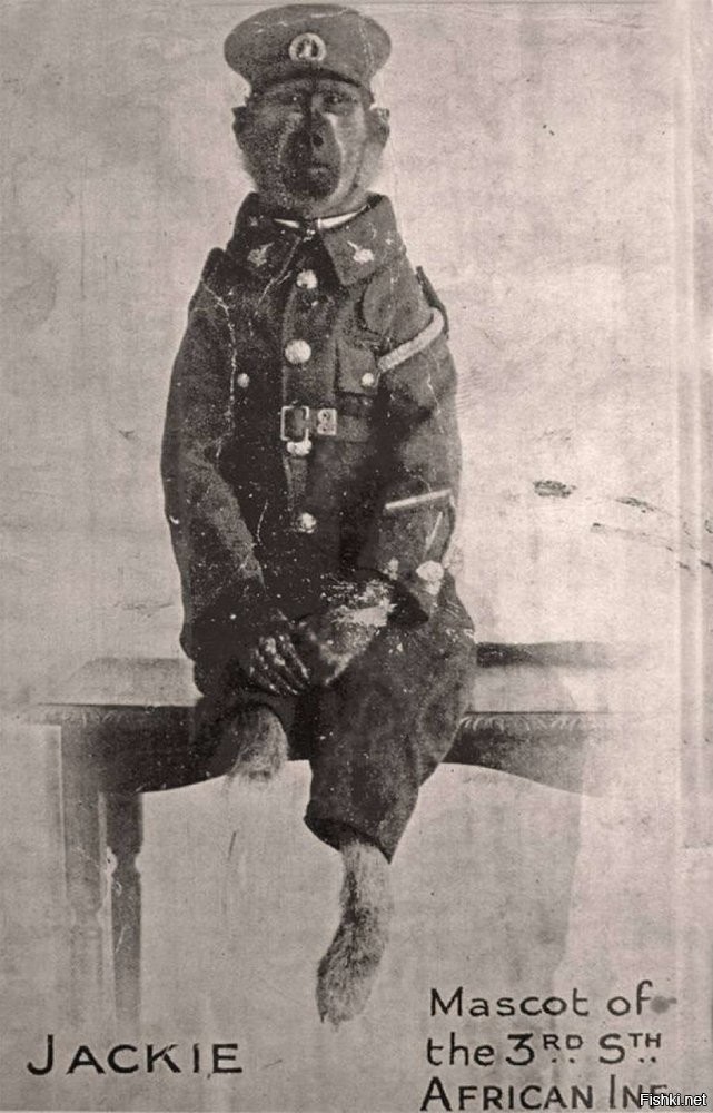и это был бы не первый случай)