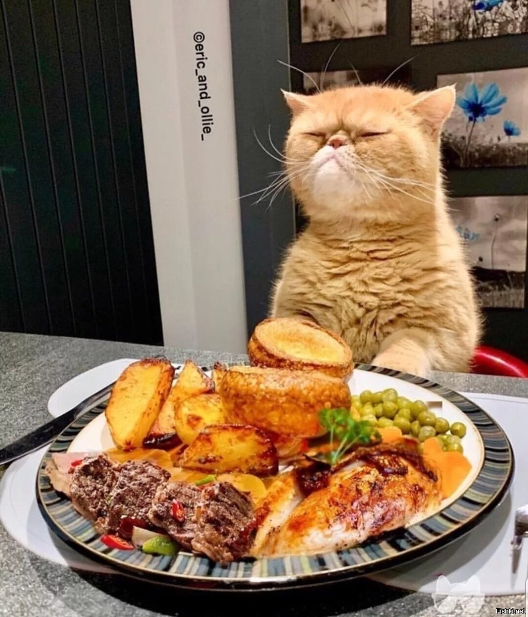 Голодным не буду 1. Кот юмор. Котик с едой. Котейка с едой. Кот кушает.