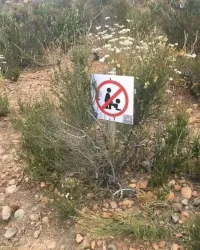 Ну, есть и другие позы))