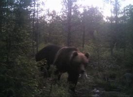 У нас .