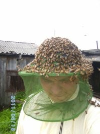 Не. Вот.