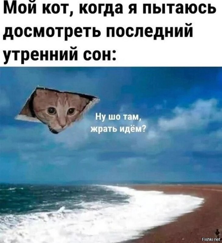 Доброе утро