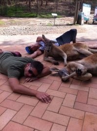 Вот так встреча: медведь загнал грибника на дерево