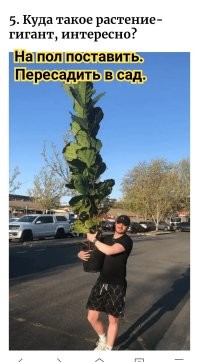 15 загадочных фото, на которых люди делают нечто нелогичное и хочется спросить "Ну зачем?"