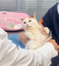 Взгляд: -Тебя я убью первым