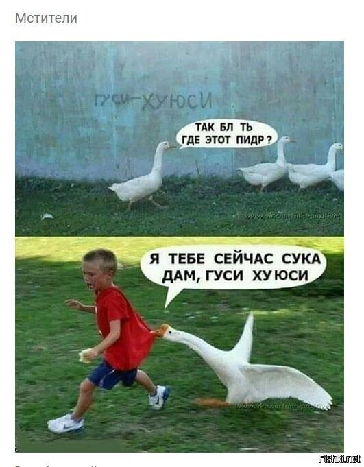 Комментарии и картинки из соцсетей. Свежак за 30 сентября