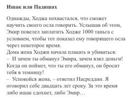 Японский учёный придумал, как продлить жизнь кошкам