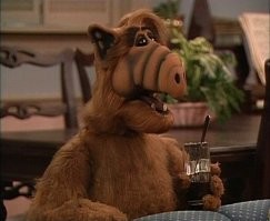 ФотоВсячина