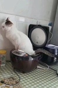 Последнее всё же лучше, чем