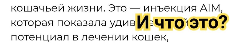 Японский учёный придумал, как продлить жизнь кошкам
