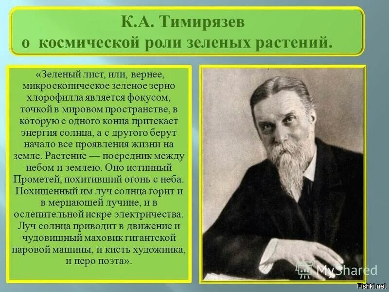 С точки зрения ботаники. Тимирязев Космическая роль растений. Космическая роль фотосинтеза Тимирязев. Космическая роль зеленых растений. Космическая роль зеленых растений Тимирязев.