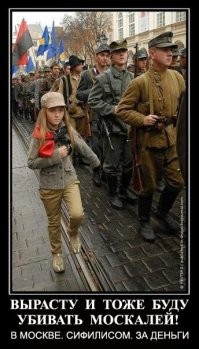 Россия 1 показала Элблонг вместо Калининграда