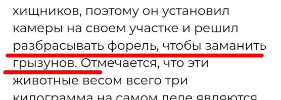 А грызуны едят форель?