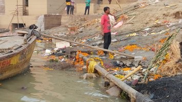 Бывали. Своеобразная страна. Но Варанаси (на который тут ссылки на трупы в Ганге) - один из древнейших городов мира - уникальный город! Погребальные костры там не затухают ни на день вот уже 2400 лет.
