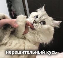 А можно НЕ скачать и НЕ посмотреть?