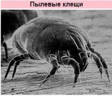 да выкинь ты его . вот эти друзья порадуются