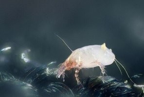 да выкинь ты его . вот эти друзья порадуются