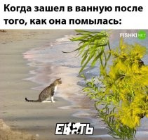 Добавить до полного сходства...
