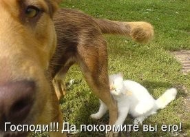 15 весёлых кадров с детьми, которые могут перевернуть всё с ног на голову