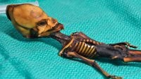 5 абсурдных попыток доказать существование инопланетян