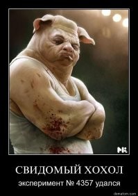 Кабан и море. В Крыму дикий кабанчик распугал отдыхающих, выскочив на пляж из моря