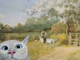 Вечерний улыбатор