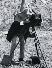 Намешалось