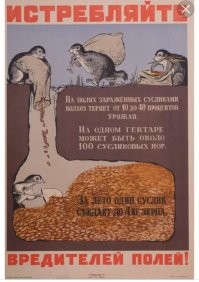 Это у них ещё сусликов нет!