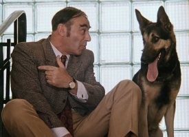 Куча дорогих часов, чёрная икра и оружие: в Дагестане прошёл обыск в замке экс-министра спорта республики