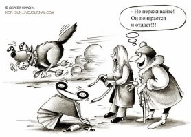 В Бразилии полицейский несколько раз выстрелил в бегущую в его сторону собаку