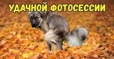 Скрины из соцсетей&nbsp;