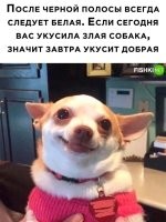 Главное, убедиться, что вы не идёте вдоль чёрной полосы.