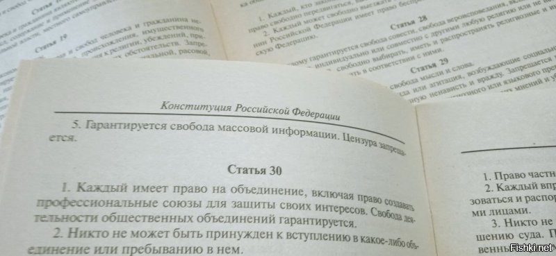 Вот 93-го года и новая конституции. В 29-й статье ни одна буква не поменялась.