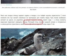 Ну как так?! КАААК??? Почему так?