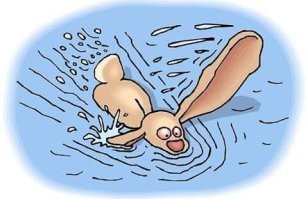 Веслаухий котёнок - это водоплавающая разновидность, типа веслаухого зайца?