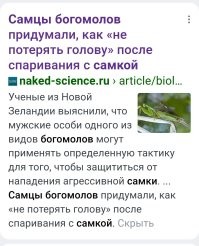 Вечерний улыбатор