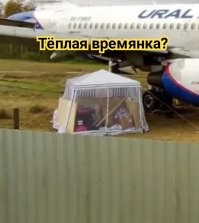 "Уральские авиалинии" сообщили о подготовке севшего в поле самолёта Airbus к взлету