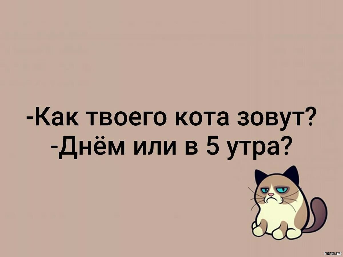 Зови как хочешь. Как зовут вашего кота. Как зовут. Кот зовет. Как зовут твоего кота утром.