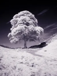 Уже приклеили?