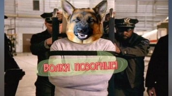 Только от жизни, от жизни собачей, Собака бывает кусачей...