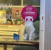 15 ситуаций, которые любого могут сбить с толку