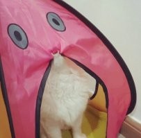 15 ситуаций, которые любого могут сбить с толку