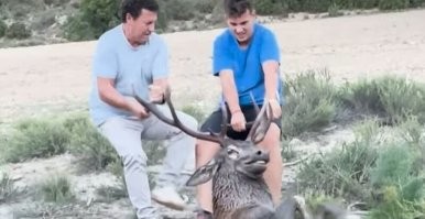 Один я тут увидел заготовку для будущих мемов?